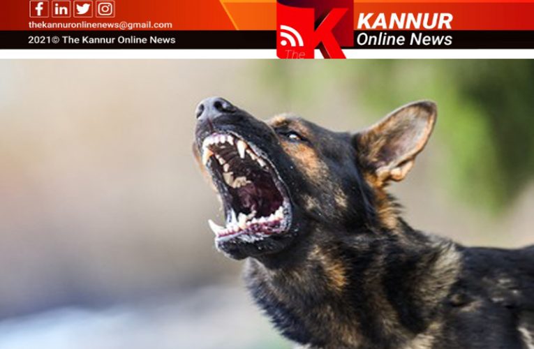 പേവിഷബാധയെ സൂക്ഷിക്കണം- ഓര്‍മ്മകളുണ്ടായിരിക്കണം-