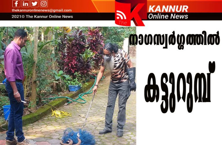 നാഗസ്വര്‍ഗ്ഗത്തില്‍ കട്ടുറുമ്പായി പ്ലാസ്റ്റിക്ക് വലകള്‍-