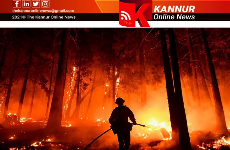 ആറിടത്ത് തീപിടിച്ചു- പതിനാറേക്കര്‍ സ്ഥലം ചാമ്പലായി-