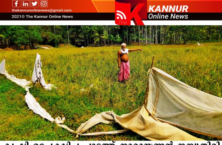 നാരായണന്‍ നമ്പൂതിരി തോറ്റു തൊപ്പിയിട്ടു-കാട്ടുപന്നി ജയിച്ചു