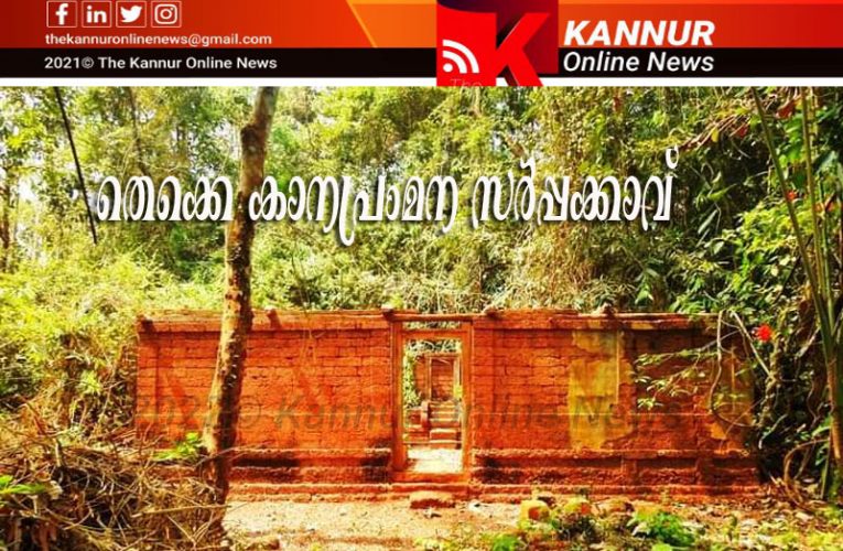 സര്‍പ്പക്കാവും മണിക്കിണറും കാഴച്ചയുടെ അല്‍ഭുതമാവുന്നു-