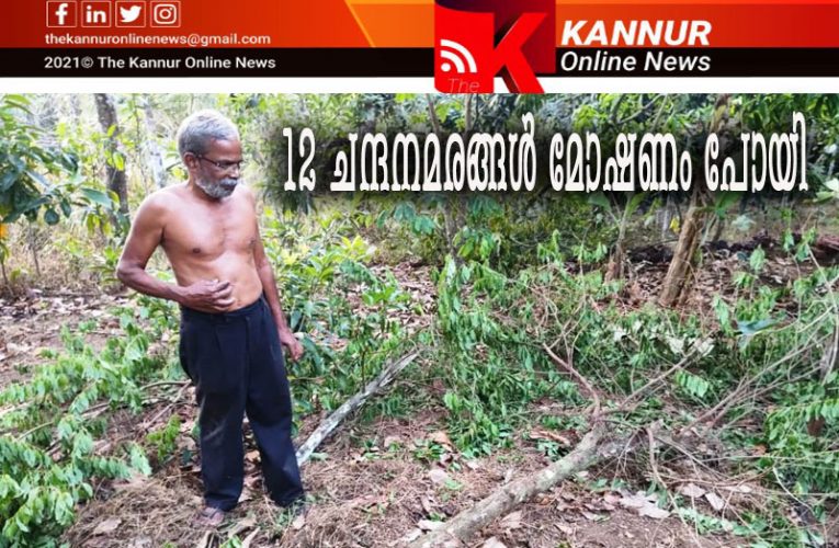 പന്ത്രണ്ട് 12 ചന്ദനമരങ്ങള്‍ മോഷണം പോയി–വൃദ്ധ ദമ്പതികളുടെ വീട്ടുപറമ്പില്‍ നിന്നും