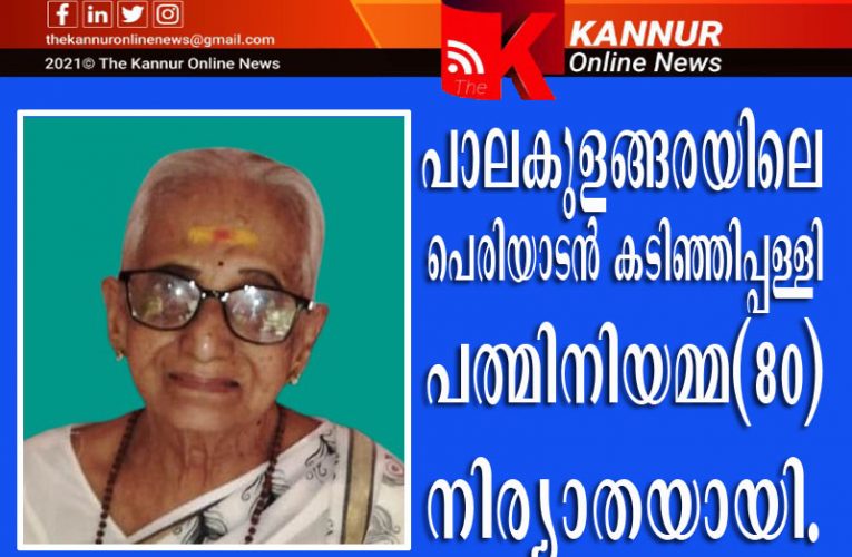 പാലകുളങ്ങരയിലെ  പെരിയാടന്‍ കടിഞ്ഞിപ്പള്ളി  പത്മിനിയമ്മ(88) നിര്യാതയായി.