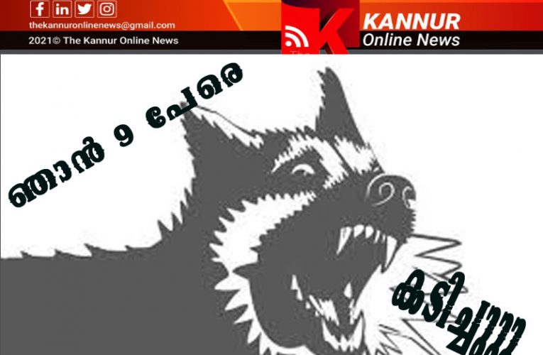 പിഞ്ചുകുട്ടികളുള്‍പ്പെടെ     ഒന്‍പതുപേര്‍ക്ക്    തെരുവ്    നായ്ക്കളുടെ    കടിയേറ്റു-