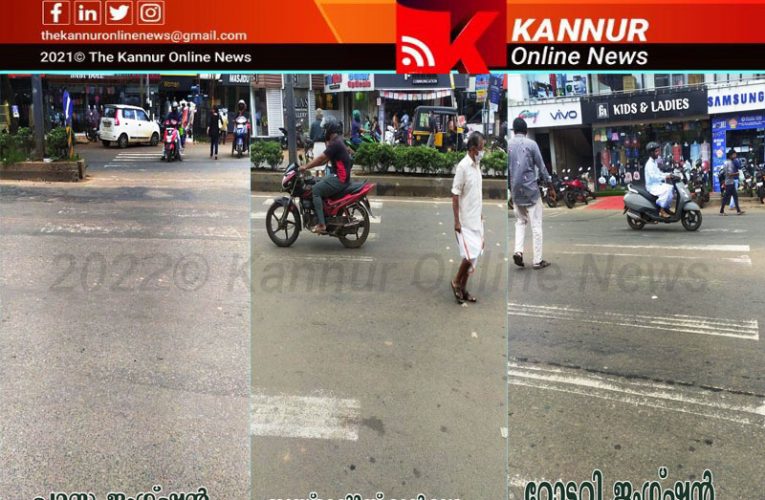 സീബ്രയുടെ വരകള്‍ ഇല്ലാതാവുന്നു—വരയന്‍  എപ്പോള്‍ വരും-????????