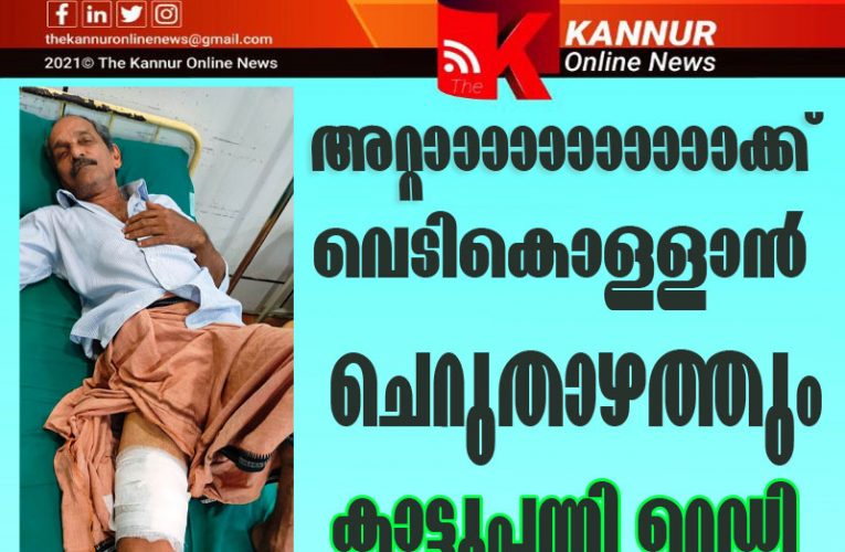 കാട്ടുപന്നിയുടെ കുത്തേറ്റ് പത്രം ഏജന്റിന് പരിക്കേറ്റു-