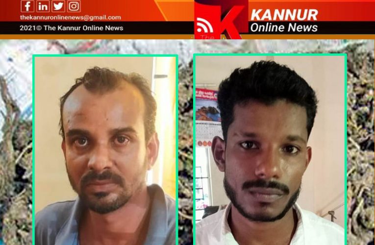 കാല്‍കിലോഗ്രാം  കഞ്ചാവുമായി  രണ്ടംഗസംഘം അറസ്റ്റില്‍-