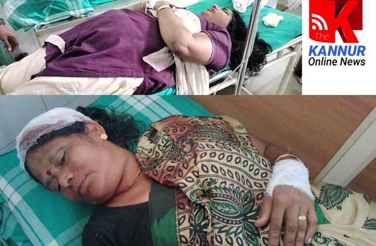 പോത്തിന്റെ   കുത്തേറ്റ്  രണ്ട് സ്ത്രീകള്‍ ഉള്‍പ്പെടെ  മൂന്നുപേര്‍ക്ക്  പരിക്ക്,  ഒരാള്‍ക്ക് ഗുരുതരം.