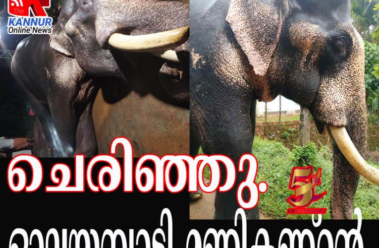 ഓലയമ്പാടി   മണികണ്ഠന്‍   ചെരിഞ്ഞു.