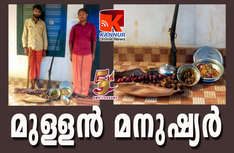 മുള്ളന്‍പന്നിയെ കൊന്ന് കറിവെച്ച രണ്ടംഗസംഘം അറസ്റ്റില്‍, വ്യാജതോക്കും പിടികൂടി.