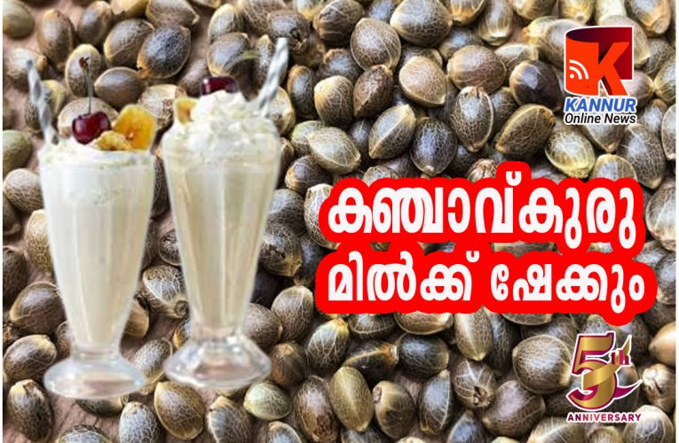 ഊയ്യന്റപ്പാ–കഞ്ചാവ് കുരുവിന്റെ മില്‍ക്ക് ഷെയിക്കും