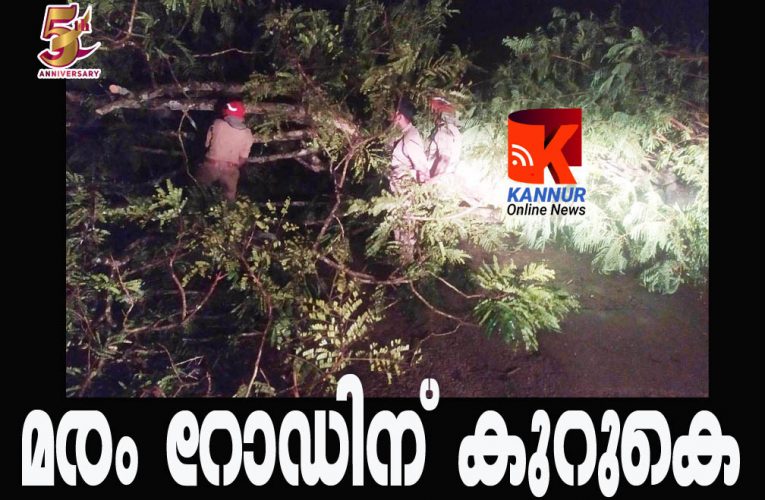 റോഡിന് കുറുകെ  മരം പൊട്ടിവീണു-വാഹനഗതാഗതം മുടങ്ങി.