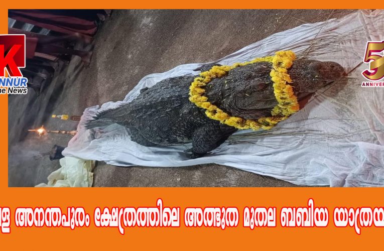  അത്ഭുത മുതല ബബിയ യാത്രയായി