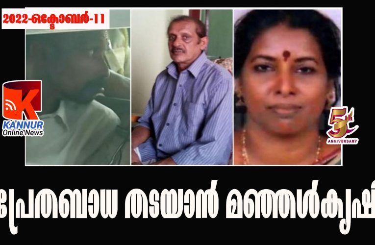 പ്രേതബാധ ഒഴിവാവാന്‍ മൃതദേഹം കുഴിച്ചിട്ട സ്ഥലത്ത് മഞ്ഞള്‍കൃഷി-