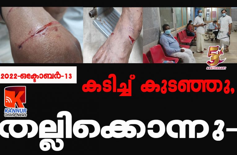 ഓടിക്കടിച്ചു, നാട്ടുകാര്‍ തല്ലിക്കൊന്നു-