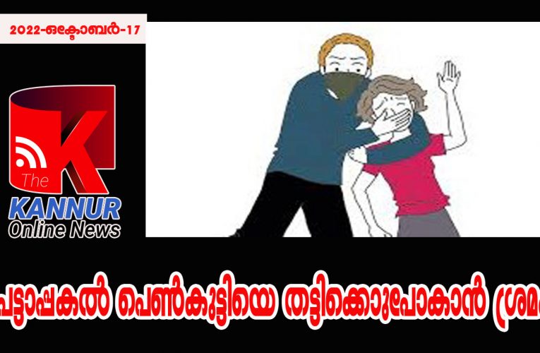 പട്ടാപ്പകല്‍ പെണ്‍കുട്ടിയെ തട്ടിക്കൊണ്ടുപോകാന്‍ ശ്രമം