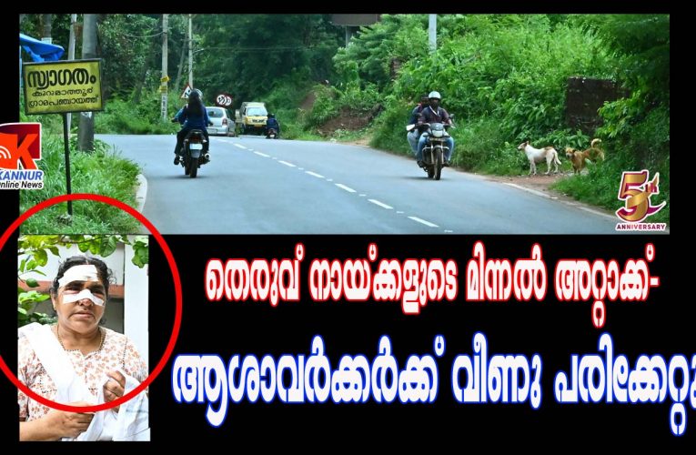 തെരുവ് നായ്ക്കളുടെ മിന്നല്‍ അറ്റാക്ക്- ആശാവര്‍ക്കര്‍ക്ക് വീണുപരിക്കേറ്റു.