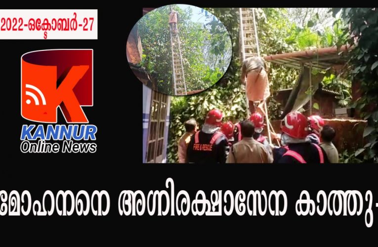 മരംമുറിക്കാന്‍ കയറിയ തൊഴിലാളി കടന്നല്‍കൂടിളകി മരത്തില്‍ കുടുങ്ങി, അഗ്നിശമനസേന രക്ഷകരായി.