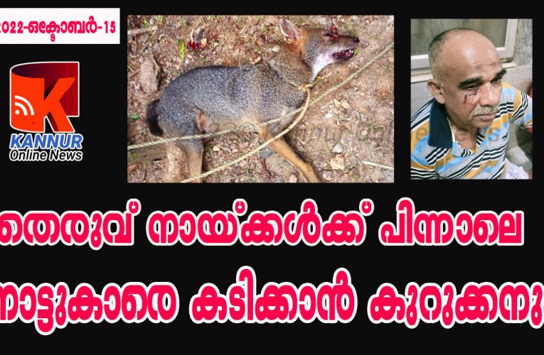 വീട്ടില്‍കയറി അമ്മയേയും മകളേയും ഉള്‍പ്പെടെ കടിച്ചുപരിക്കേല്‍പ്പിച്ച കുറുക്കനെ നാട്ടുകാര്‍ അടിച്ചുകൊന്നു.