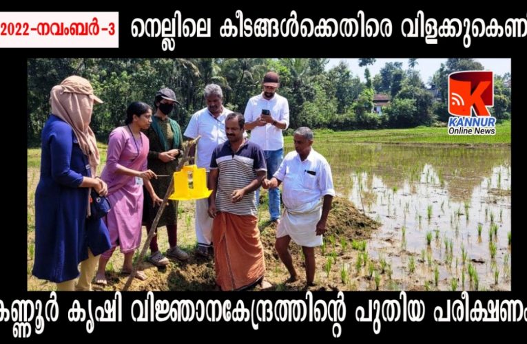 വിളക്കിനെ കെണിയാക്കി കണ്ണൂര്‍ കൃഷി വിജ്ഞാനകേന്ദ്രം.
