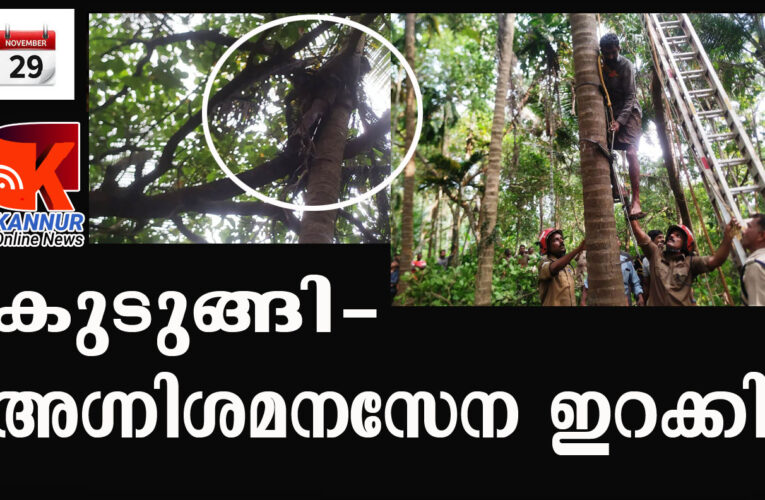 തെങ്ങിനും മാവിനും ഇടയില്‍ കുടുങ്ങി-ഞെരിഞ്ഞു-അഗ്നിശമനസേന അനില്‍കുമാറിനെ രക്ഷിച്ചു.