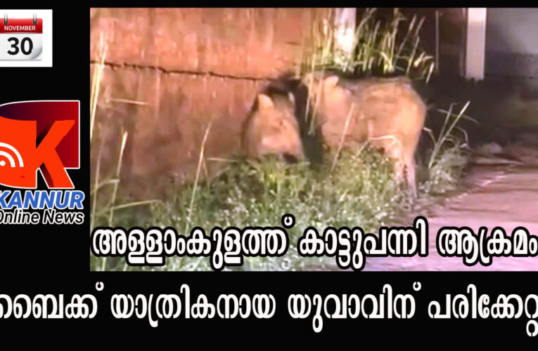 അള്ളാംകുളത്ത് കാട്ടുപന്നി ആക്രമം- ബൈക്ക് യാത്രികനായ യുവാവിന് പരിക്കേറ്റു.