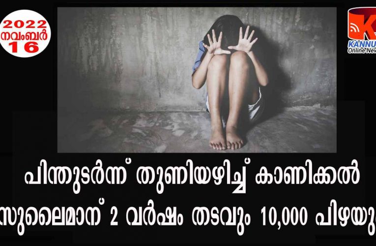 തുണിയഴിച്ച് കാണിക്കല്‍- സുലൈമാന് രണ്ട് വര്‍ഷം തടവും 10,000 പിഴയും ശിക്ഷ.