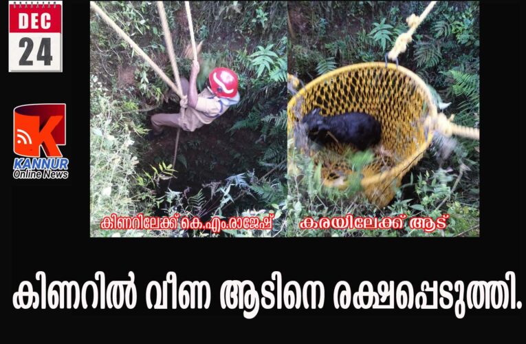 കിണറില്‍ വീണ ആടിനെ രക്ഷപ്പെടുത്തി.