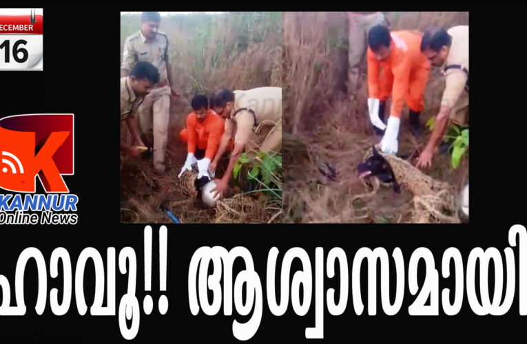 തലയില്‍ അലൂമിനിയം കുടം കുടുങ്ങിയ തെരുവ്‌നായക്ക് രക്ഷകരായി അഗ്നിരക്ഷാസേന.