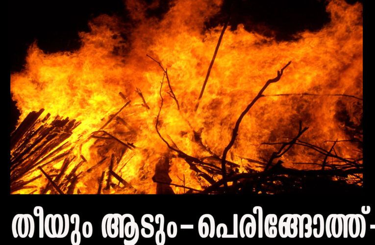 മൂന്നിടത്ത് തീപിടുത്തം-ആടിനെയും രക്ഷപ്പെടുത്തി.