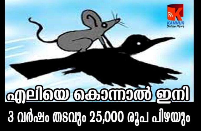 എലിയെ കൊന്നാല്‍ ഇനി 3 വര്‍ഷം തടവും 25,000 രൂപ പിഴയും, കാക്കയും സംരക്ഷിത പട്ടികയില്‍.