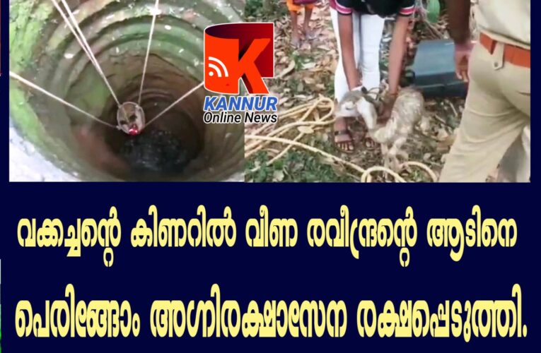 വക്കച്ചന്റെ കിണറില്‍ വീണ രവീന്ദ്രന്റെ ആടിനെ പെരിങ്ങോം അഗ്നിരക്ഷാസേന രക്ഷപ്പെടുത്തി