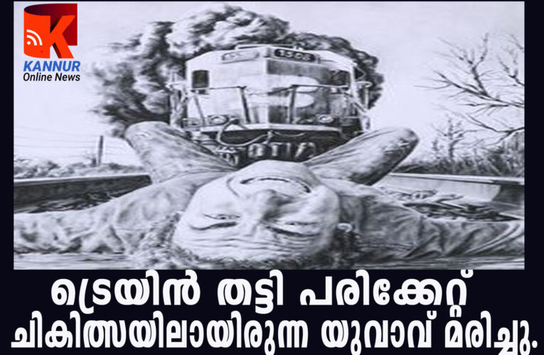 ട്രെയിന്‍തട്ടി പരിക്കേറ്റ യുവാവ് മരിച്ചു.