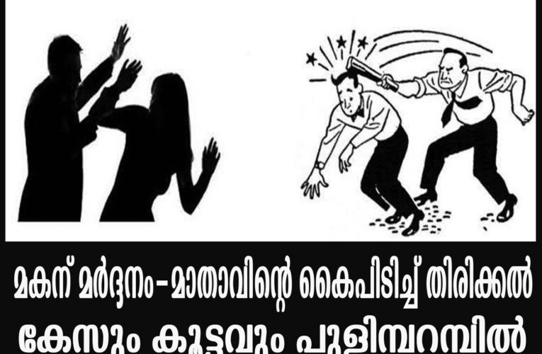 വീട്ടില്‍കയറി ആക്രമം-പുളിമ്പറമ്പില്‍
