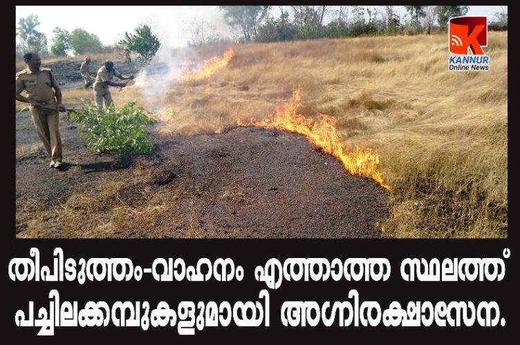 തീപിടിത്തം-അറുപതേക്കറോളം സ്ഥലത്ത് തീപടര്‍ന്നു-പിന്നില്‍ സമൂഹവിരുദ്ധര്‍.