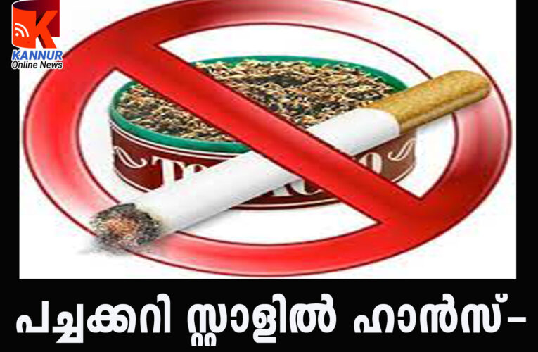 പച്ചക്കറി സ്റ്റാളില്‍ ഹാന്‍സ്-