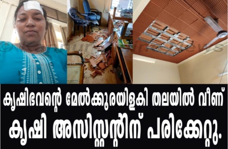 കൃഷിഭവന്റെ മേല്‍ക്കൂരയിളകി തലയില്‍ വീണ് കൃഷി അസിസ്റ്റന്റിന് പരിക്കേറ്റു.