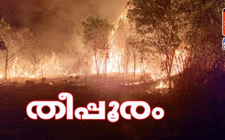തീ പടര്‍ന്നു-പത്തേക്കര്‍ സ്ഥലം തരിശായിമാറി