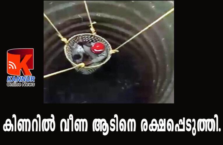 കിണറില്‍ വീണ ആടിനെ രക്ഷപ്പെടുത്തി.