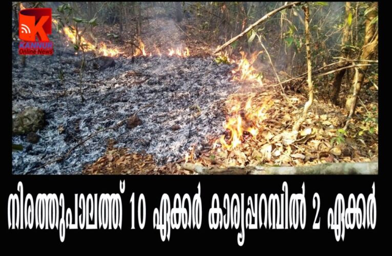 നിരത്തുപാലത്ത് 10 ഏക്കര്‍, കാര്യപ്പറമ്പില്‍ 2 ഏക്കര്‍ കത്തിനശിച്ചു.