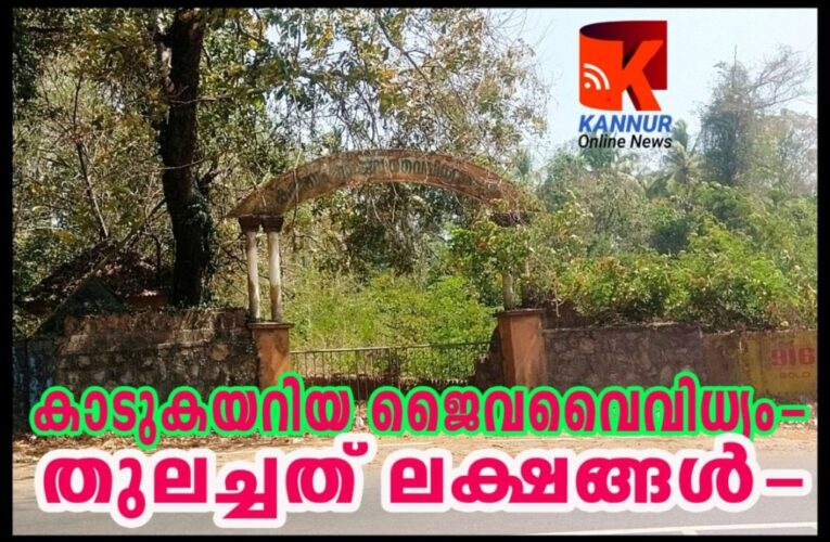 ജില്ലാ പഞ്ചായത്തിന്റെ കെടുകാര്യസ്ഥതക്ക് ഉദാഹരണമായി ജൈവവൈവിധ്യകേന്ദ്രം.