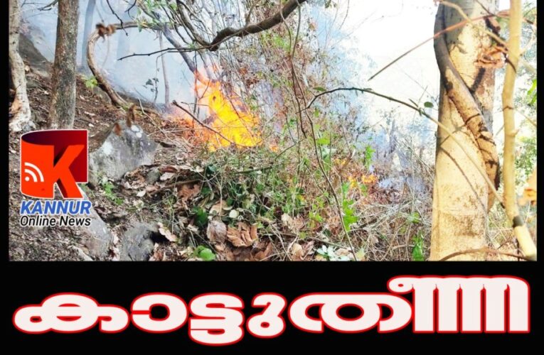 റിസര്‍വ്വ് വനത്തില്‍ തീപിടുത്തം, അഗ്നിരക്ഷാസേനയുടെ ഇടപെടല്‍ വലിയ ദുരന്തം ഒഴിവാക്കി.