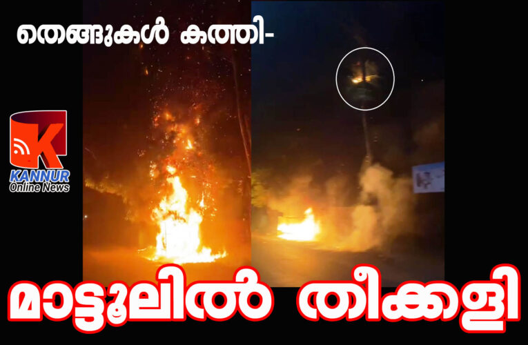 മാട്ടൂലില്‍ തീക്കളി-തെങ്ങുകള്‍ കത്തി-