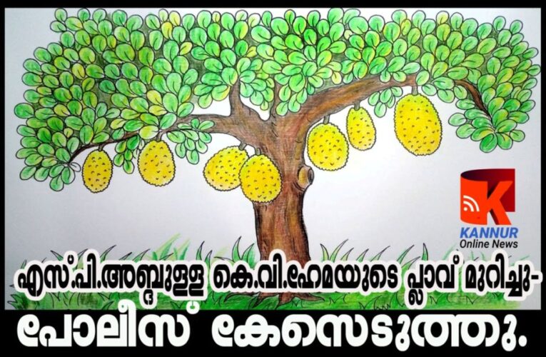 വീട്ടുപറമ്പില്‍ കയറി പ്ലാവ് മുറിച്ചതിന് പോലീസ് കേസ്.