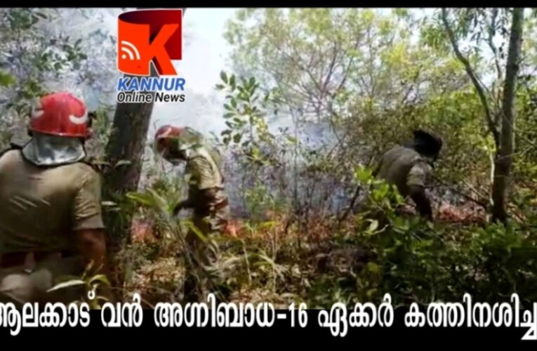 ആലക്കാട് വന്‍ അഗ്നിബാധ-16 ഏക്കര്‍ കത്തിനശിച്ചു.