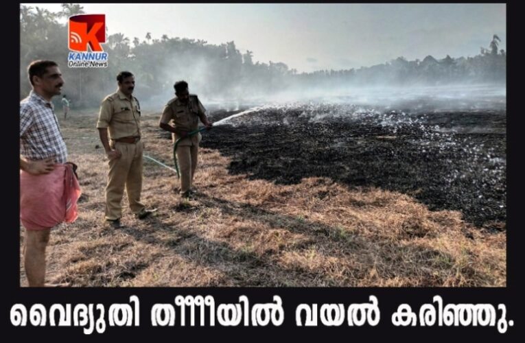 വൈദ്യുതി കമ്പി ഉരസിയുണ്ടായ തീയില്‍ പത്ത് ഏക്രവയല്‍ പടര്‍ന്ന് കത്തി.
