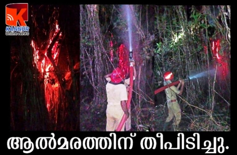 കൂറ്റന്‍ ആല്‍മരത്തിന് തീപിടിച്ചു.