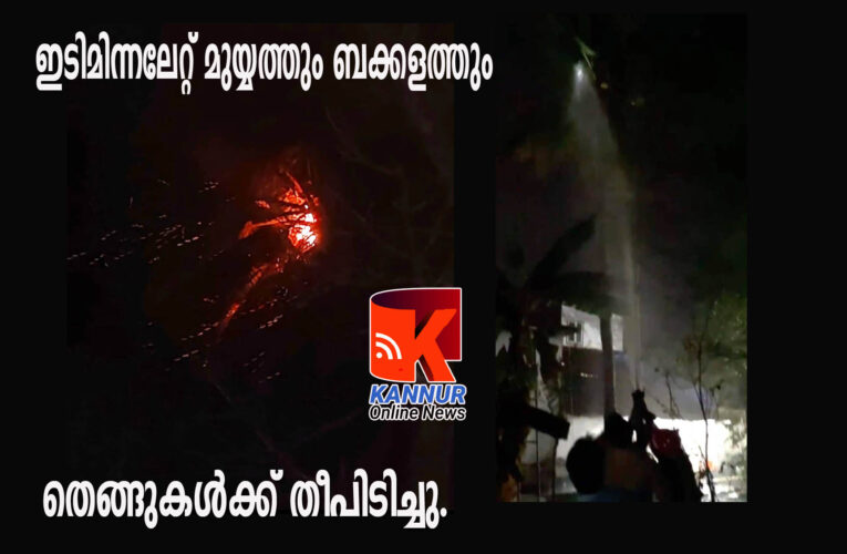 ഇടിമിന്നലേറ്റ് ശാന്തകുമാരിയുടെയും സരോജിനിയുടെയും തെങ്ങുകള്‍ കത്തി.