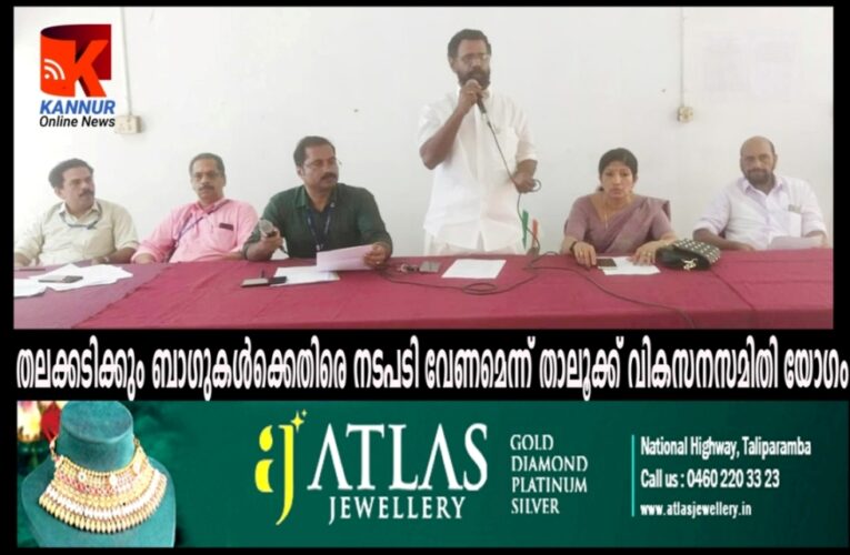 തലക്കടിക്കും ബാഗുകള്‍ക്കെതിരെ നടപടി വേണമെന്ന് താലൂക്ക് വികസനസമിതി യോഗം