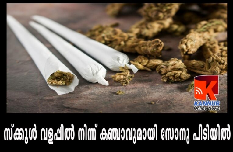 സ്‌ക്കൂള്‍ വളപ്പില്‍ നിന്ന് കഞ്ചാവുമായി സോനു പിടിയില്‍